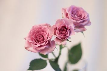 /uploads/smarteditor/20180927143535_291.JPG