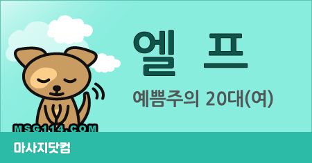 서울 엘프 홈타이