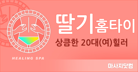 서울 딸기홈타이