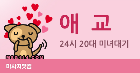 서울/인천 애교 홈타이