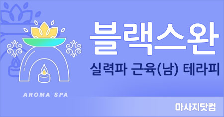 서울/경기 1인출장 블랙스완[남]