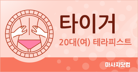 서울 강서구 타이거 타이